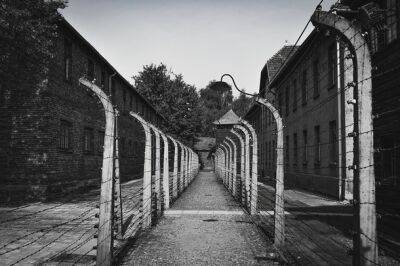 ООН: половина сообщений о Холокосте в Telegram отрицают или искажают факты