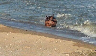 Чергова трагедія на морі: На Одещині під час купання у морі чоловікові вибухом відірвало голову