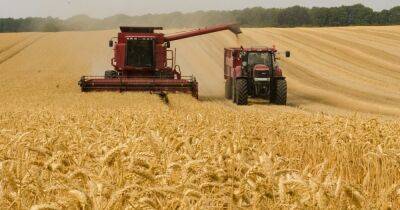 "Готовы к тесному сотрудничеству": Венгрия поможет вывозить зерно из Украины