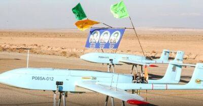 Армия дронов Ирана: какие БПЛА у Исламской республики и на что они способны (видео)
