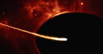 Побрезговала остатками звезды: ученые зафиксировали странное поведение черной дыры