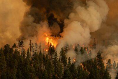 Европу захлестнула волна лесных пожаров