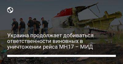 Украина продолжает добиваться ответственности виновных в уничтожении рейса MH17 – МИД