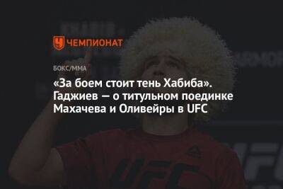 «За боем стоит тень Хабиба». Гаджиев — о титульном поединке Махачева и Оливейры в UFC