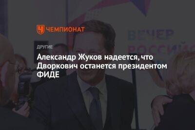 Александр Жуков надеется, что Дворкович останется президентом ФИДЕ