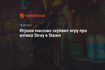 Игроки массово скупают игру про котика Stray в Steam