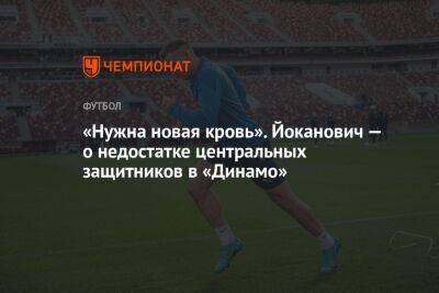 «Нужна новая кровь». Йоканович — о недостатке центральных защитников в «Динамо»