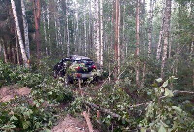 В Тверской области три человека пострадали в вылетевшем в кювет автомобиле