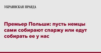 Премьер Польши: пусть немцы сами собирают спаржу или едут собирать ее у нас