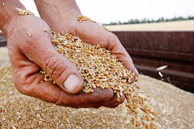Росіяни вивозять зерно з окупованих територій Харківщини в РФ