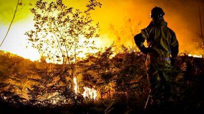В западной Европе сгорели десятки тысяч гектаров леса