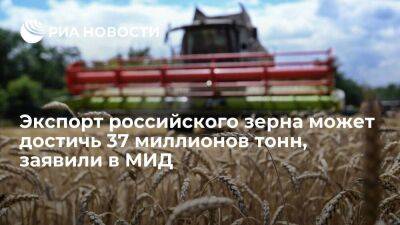 Замглавы МИД Вершинин: Россия в 2022 году планирует экспортировать 37 миллионов тонн зерна
