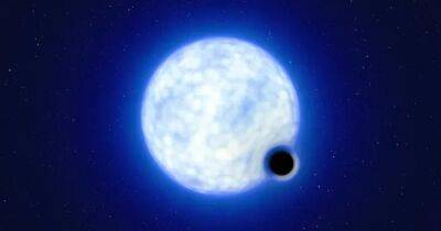 Исчезнувшая звезда. Впервые обнаружена спящая черная дыра за пределами Млечного Пути
