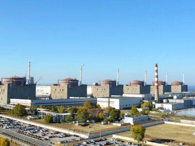 Оккупанты похитили еще двух сотрудников Запорожской АЭС – "Энергоатом"