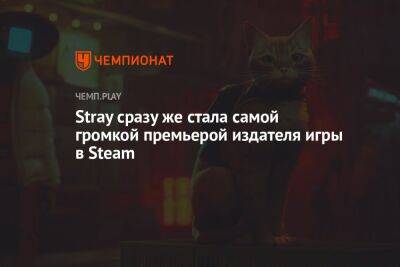 Stray сразу же стала самой громкой премьерой издателя игры в Steam