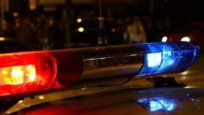 В Гатчинском районе пассажирка иномарки погибла в ДТП с лосем