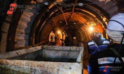 Российские власти оценили угольную отрасль Донбасса: «Выстояла»