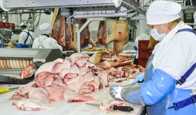 Тюменские предприниматели произвели 140 тонн мяса из «воздуха»