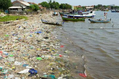 Индия ввела радикальный запрет на одноразовый пластик