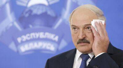 Лукашенко заявил, что Беларусь не стремится воевать в Украине