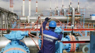 Франция стала крупнейшим импортером российского сжиженного газа — Die Welt