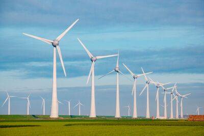 Министр экологии требует пятилетний мораторий на строительство ветряных электростнаций