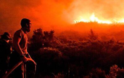 Греция - В Греции эвакуировали сотни людей из-за лесного пожара - korrespondent.net - Украина - Хорватия - Греция
