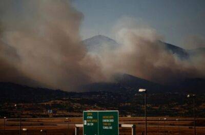 Біля столиці Греції вирує масштабна лісова пожежа: евакуйовано сотні людей