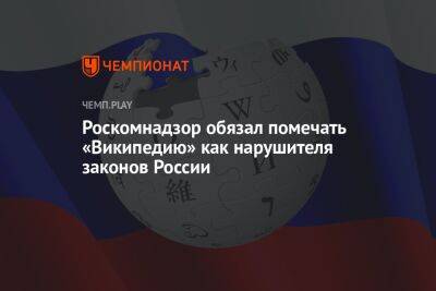 Роскомнадзор обязал помечать «Википедию» как нарушителя законов России