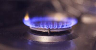 ЕС намерен сократить потребление газа на 15% из-за проблем с поставками из РФ