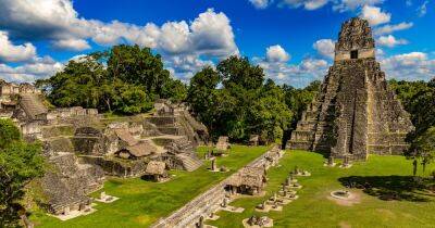 Археологический прорыв. Ученые назвали возможную причину краха цивилизации майя