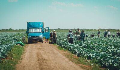 В Тюменской области наблюдается нехватка работников в сфере сельского хозяйства