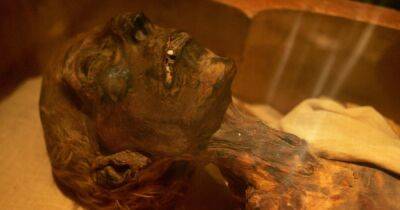 Семь самых знаменитых мумий в мире: какие секреты удалось раскрыть ученым