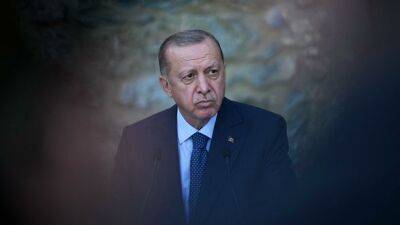 Эрдоган хочет подписания соглашения по "зерновому коридору" на этой неделе