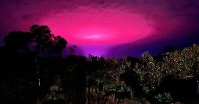 Австралийцы заметили необычное розовое свечение в небе: причиной оказался каннабис (фото)