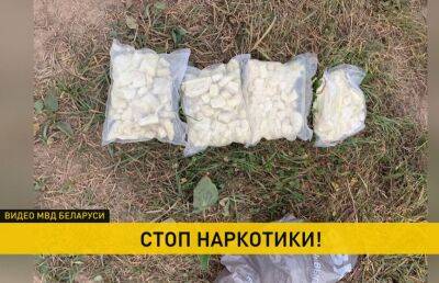 В Минске раскрыли сеть оптовых наркоторговцев. Изъяли около 20 кг опасного наркотика