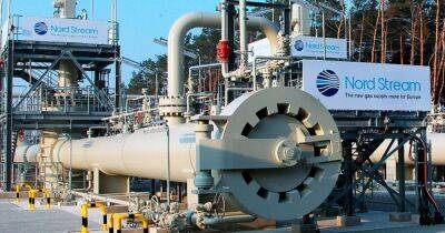 Россия возобновила поставки газа в Германию — СМИ
