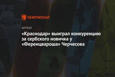 «Краснодар» выиграл конкуренцию за сербского новичка у «Ференцвароша» Черчесова