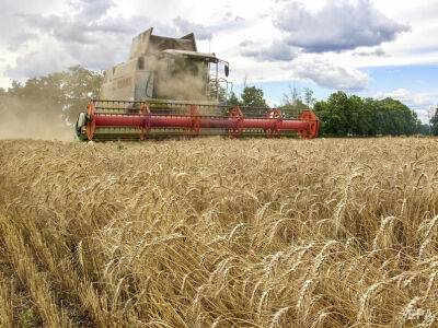 В США инициировали поддержку сельского хозяйства Украины на $100 млн