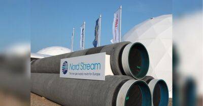 «Газпром» відновив постачання газу «Північним потоком», але ЄС не вірить, що це надовго