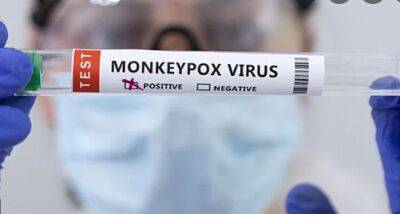 ВОЗ назвала число заразившихся оспой обезьян во всем мире