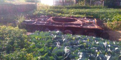 Ландшафтный дизайн. В Киевской области хозяйке пришлось высаживать овощи вокруг сожженного российского танка у себя в огороде