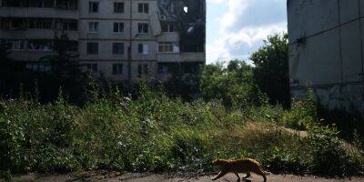 «Находимся в прямой зоне поражения». Российские войска могут ударить по любому району Харькова — полиция