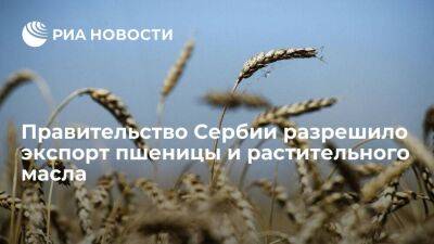 Минсельхоз Сербии: правительство разрешило экспорт пшеницы и растительного масла