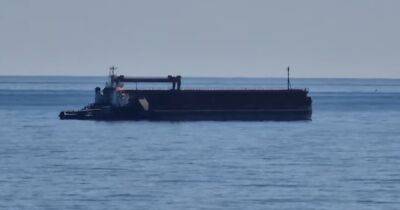 Первое судно с украинским зерном прошло по Черному морю в Болгарию (видео)