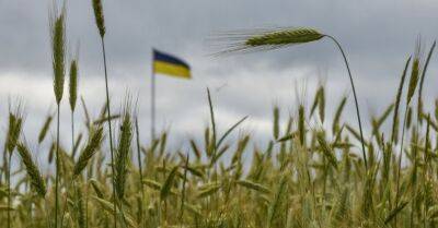 Украина и Россия подпишут в Турции соглашение о транспортировке зерна через Черное море