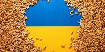 «Зерновой коридор». В МИД Украины прокомментировали предстоящие переговоры с Россией в Стамбуле