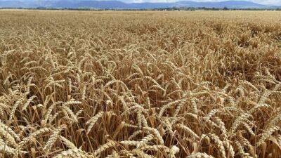 Соглашение об экспорте заблокированного украинского зерна