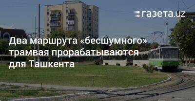 Два маршрута «бесшумного» трамвая прорабатываются для Ташкента