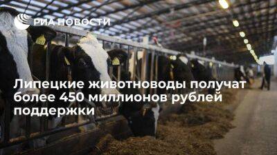 Липецкие животноводы в этом году получат более 450 миллионов рублей поддержки